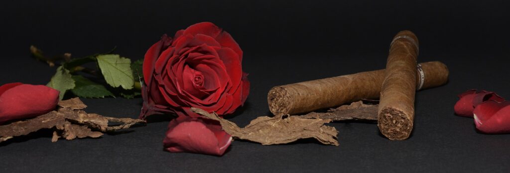 rose saint valentin 14 février fête des amoureux