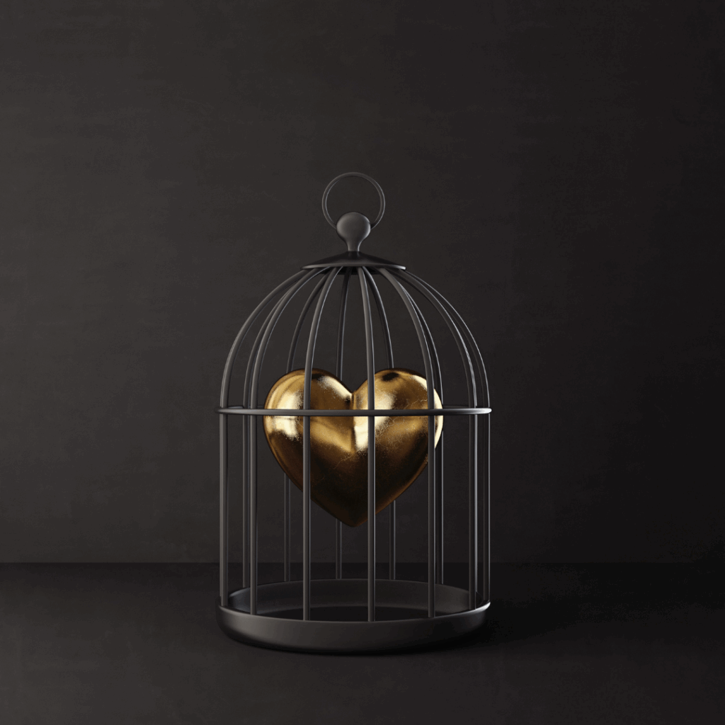 sextoy sexshop boutique érotique cage de chasteté guide